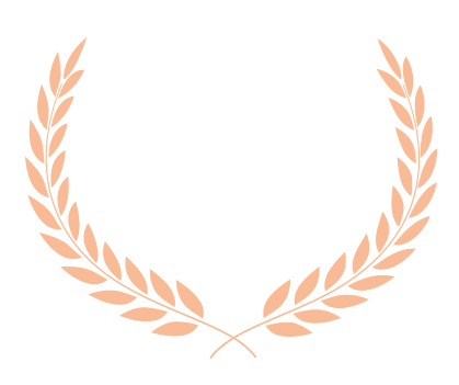 Award of Excellence Icon